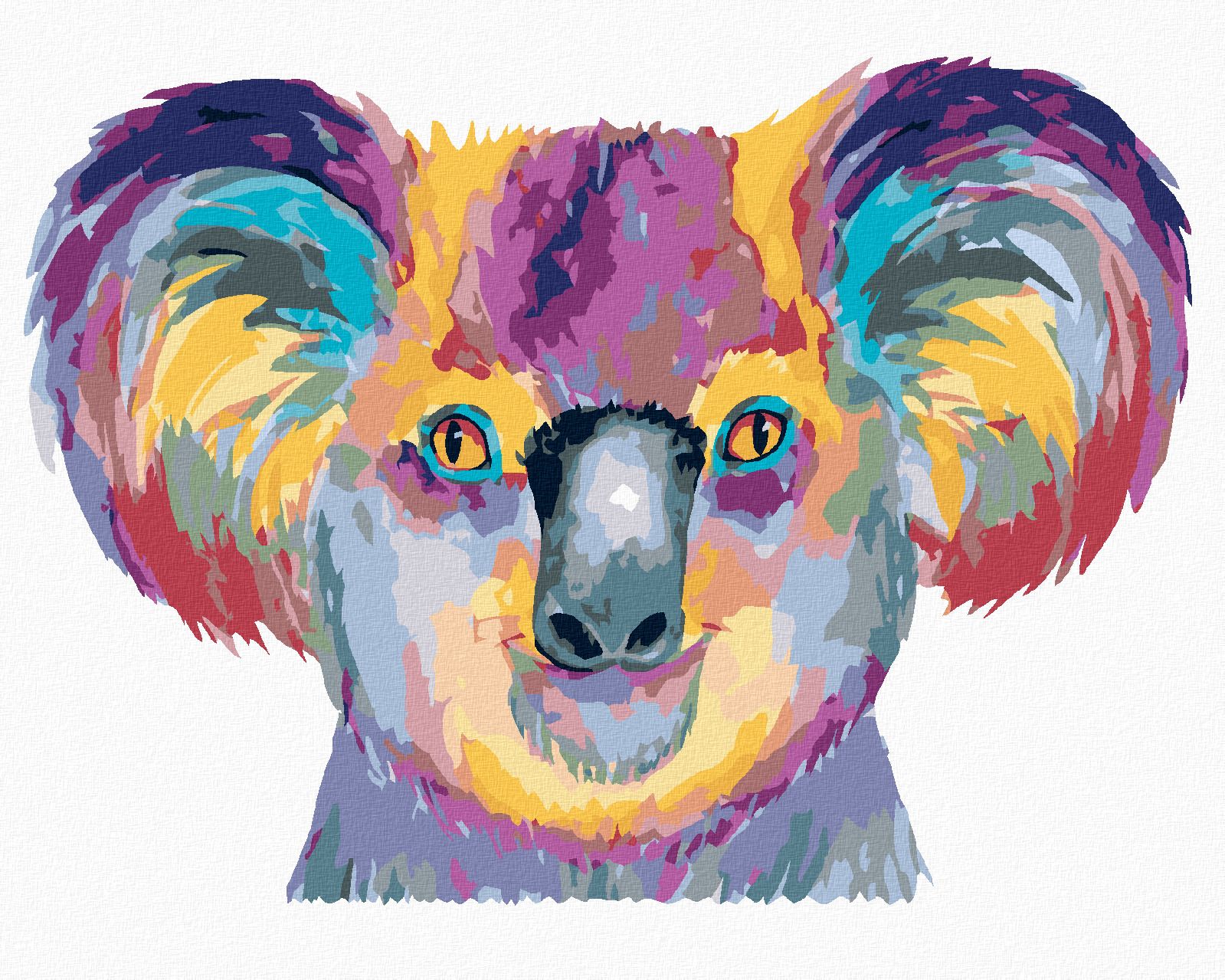 zuty Malování podle čísel - BAREVNÁ KOALA NA BÍLÉM POZADÍ - Rozměr: 40x50 cm, Rámování: Varianta: vypnuté plátno na rám - obrázek 1