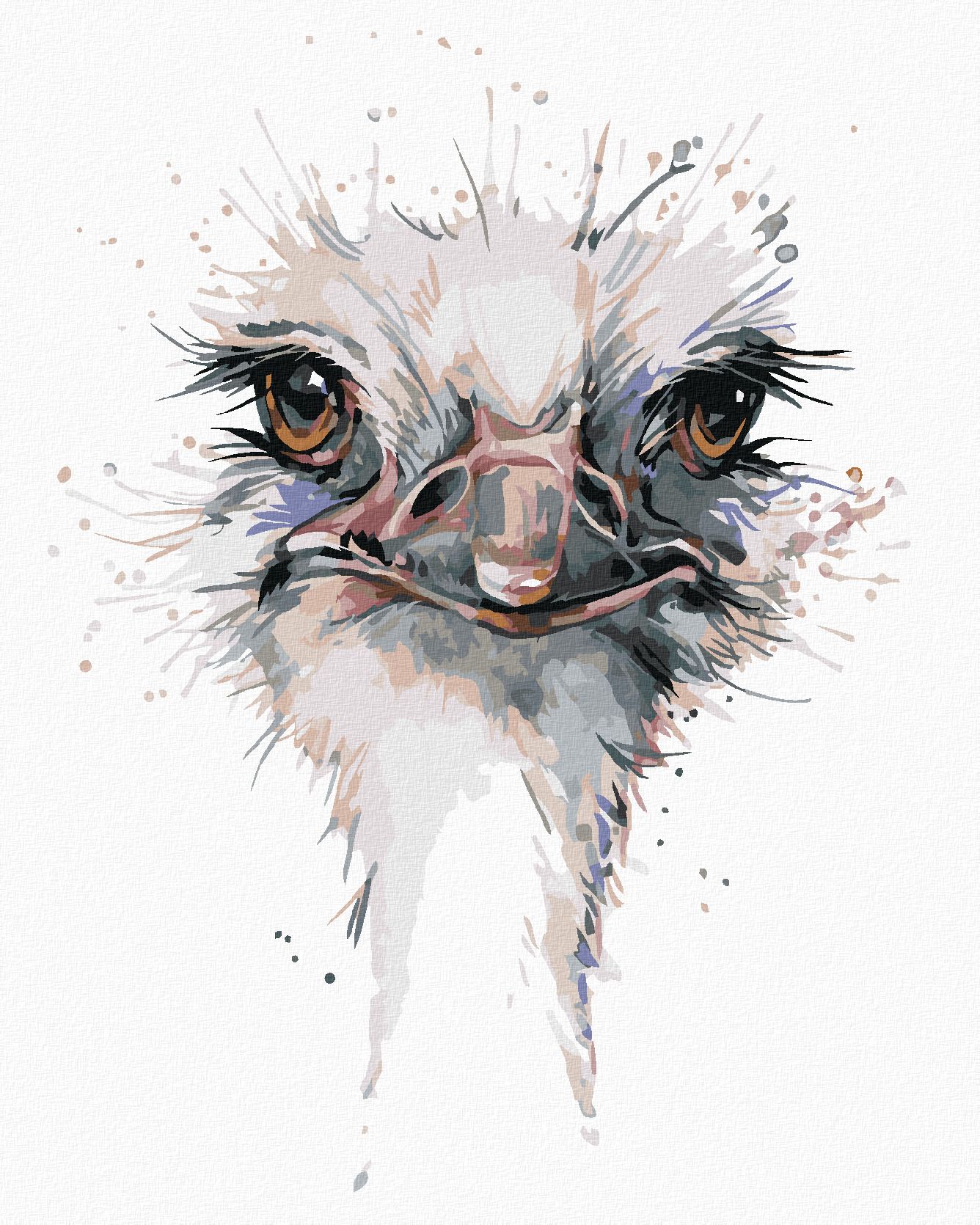 zuty Malování podle čísel - PŠTROSÍ HLAVA - Rozměr: 40x50 cm, Rámování: Varianta: vypnuté plátno na rám - obrázek 1