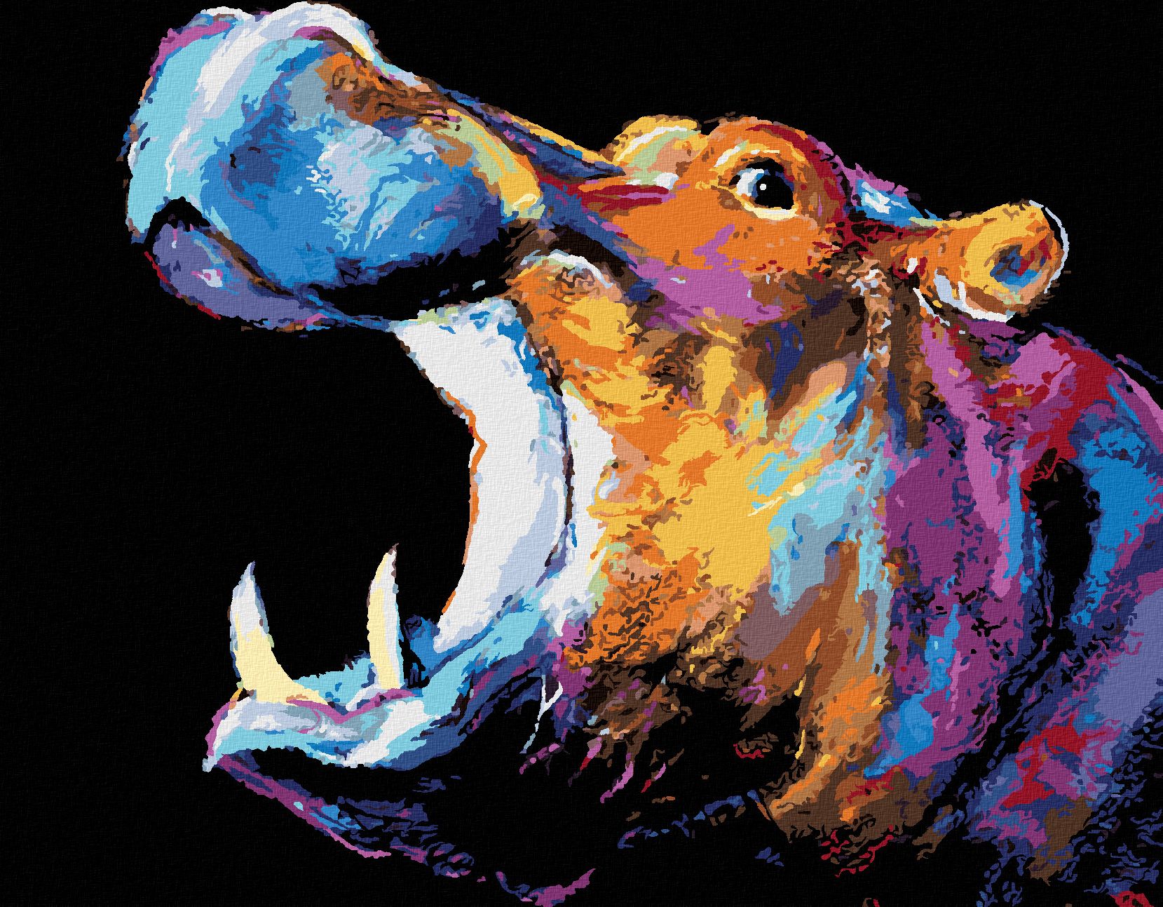zuty Malování podle čísel - BAREVNÝ HROCH II - Rozměr: 40x50 cm, Rámování: Varianta: bez rámu a bez vypnutí plátna - obrázek 1