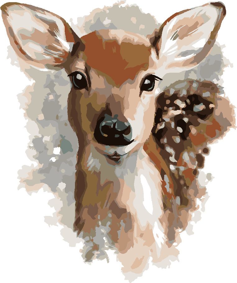 zuty Malování podle čísel - KOLOUŠEK - Rozměr: 40x50 cm, Rámování: Varianta: vypnuté plátno na rám - obrázek 4