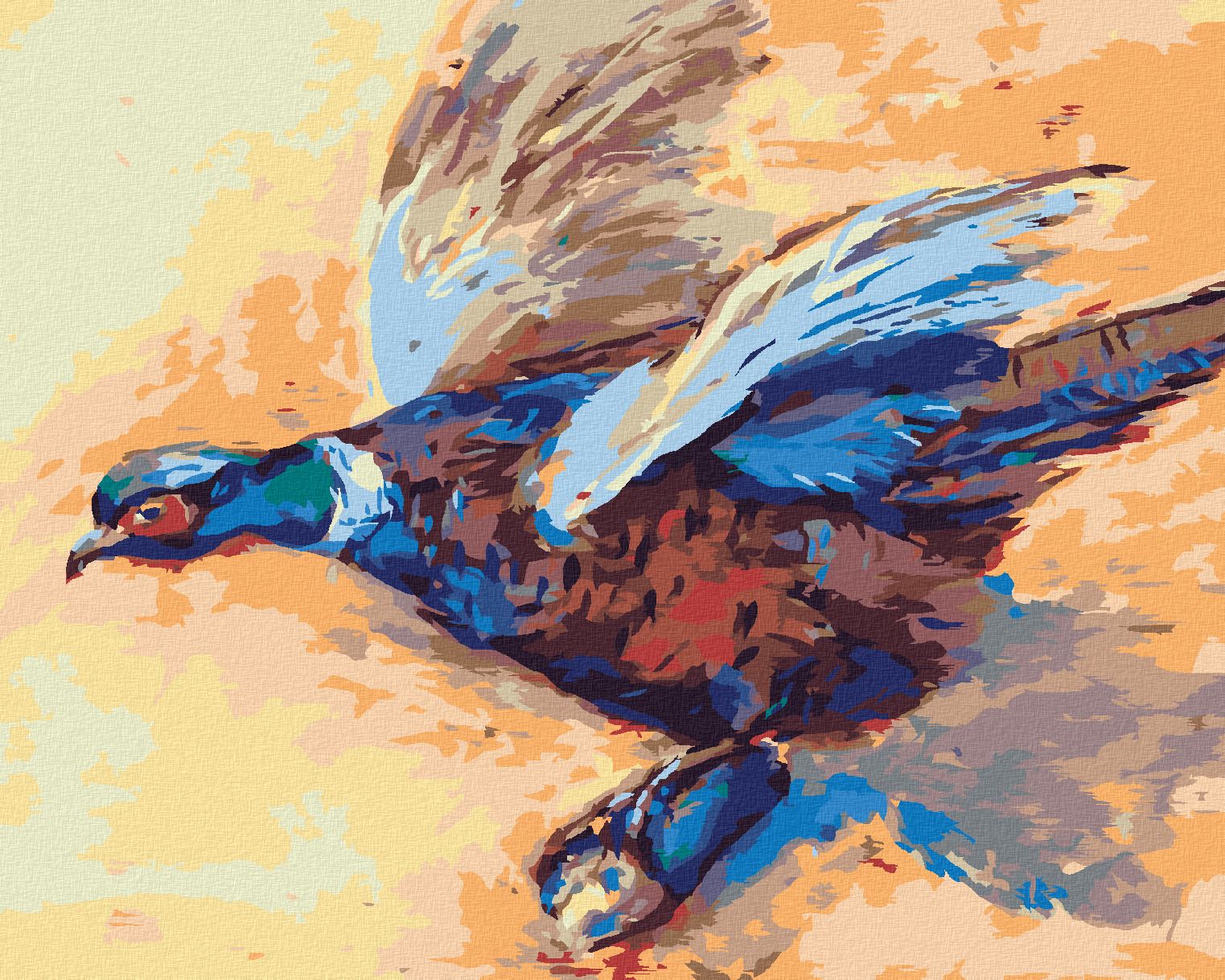zuty Malování podle čísel - BAREVNÝ BAŽANT - Rozměr: 40x50 cm, Rámování: Varianta: vypnuté plátno na rám - obrázek 1