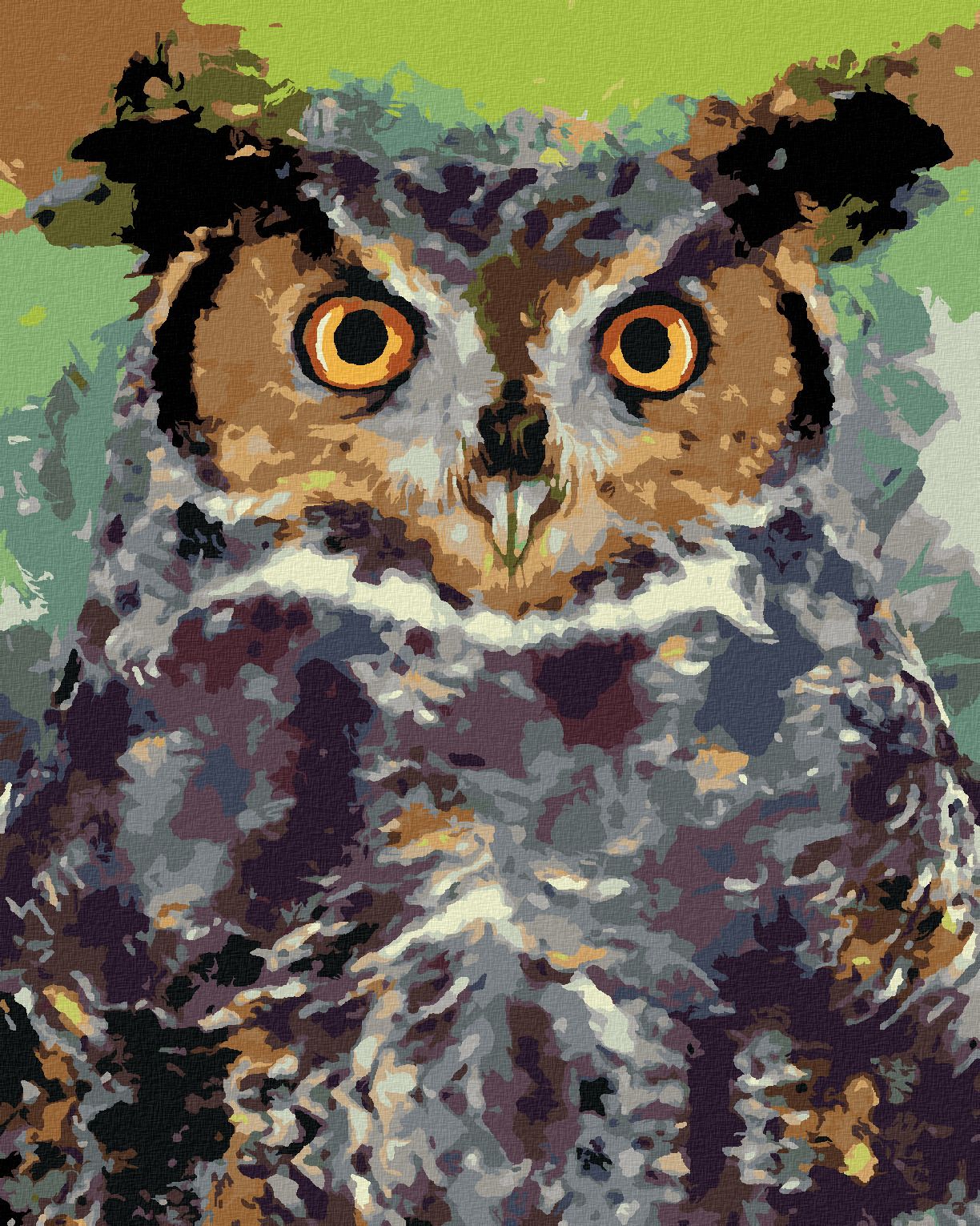 zuty Malování podle čísel - BAREVNÁ SOVA II - Rozměr: 40x50 cm, Rámování: Varianta: bez rámu a bez vypnutí plátna - obrázek 1
