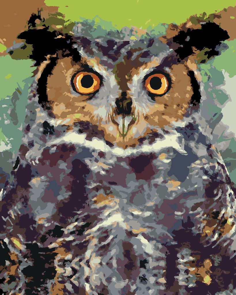 zuty Malování podle čísel - BAREVNÁ SOVA II - Rozměr: 40x50 cm, Rámování: Varianta: vypnuté plátno na rám - obrázek 5