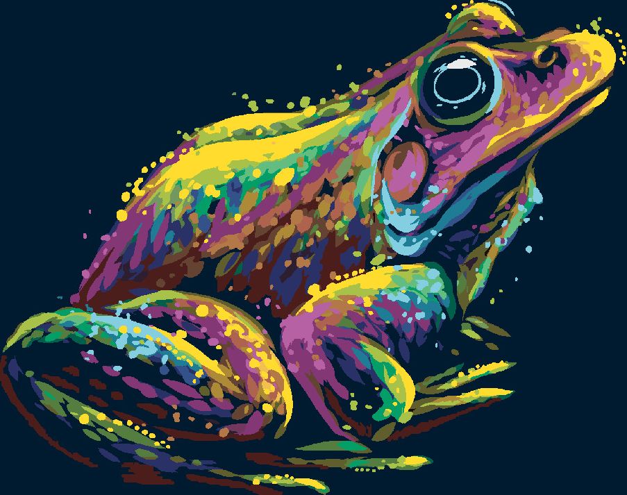 zuty Malování podle čísel - BAREVNÁ ŽÁBA - Rozměr: 40x50 cm, Rámování: Varianta: bez rámu a bez vypnutí plátna - obrázek 4