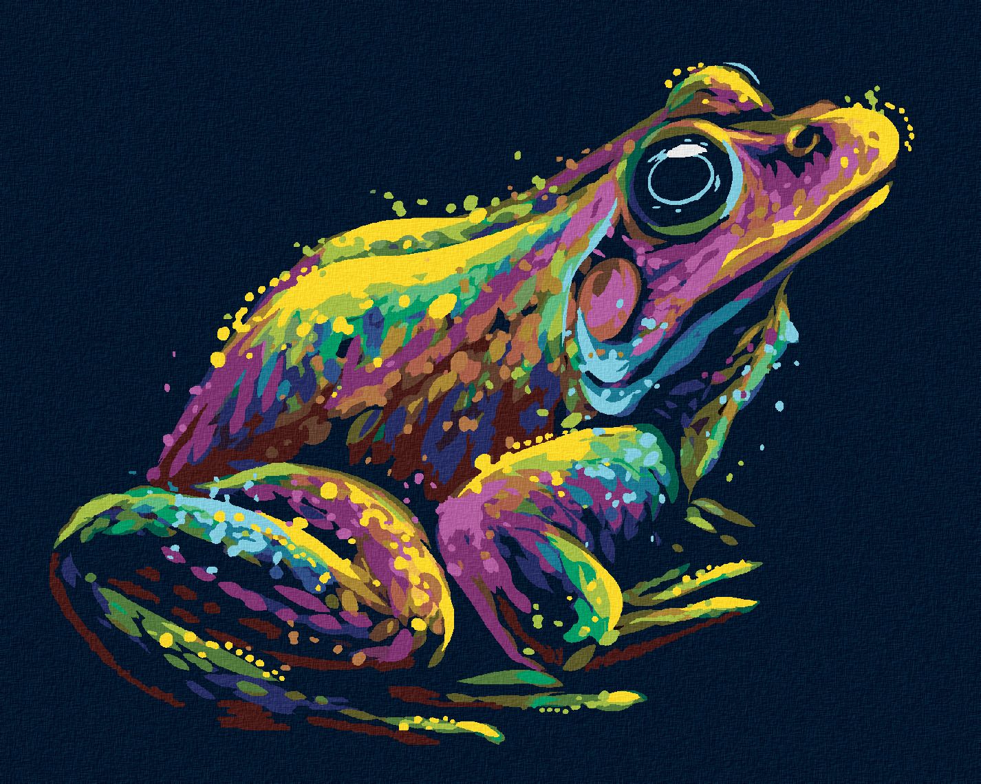 zuty Malování podle čísel - BAREVNÁ ŽÁBA - Rozměr: 40x50 cm, Rámování: Varianta: vypnuté plátno na rám - obrázek 1
