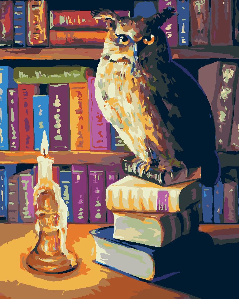 zuty Malování podle čísel - SOVA S KNIHAMI - Rozměr: 40x50 cm, Rámování: Varianta: bez rámu a bez vypnutí plátna - obrázek 19