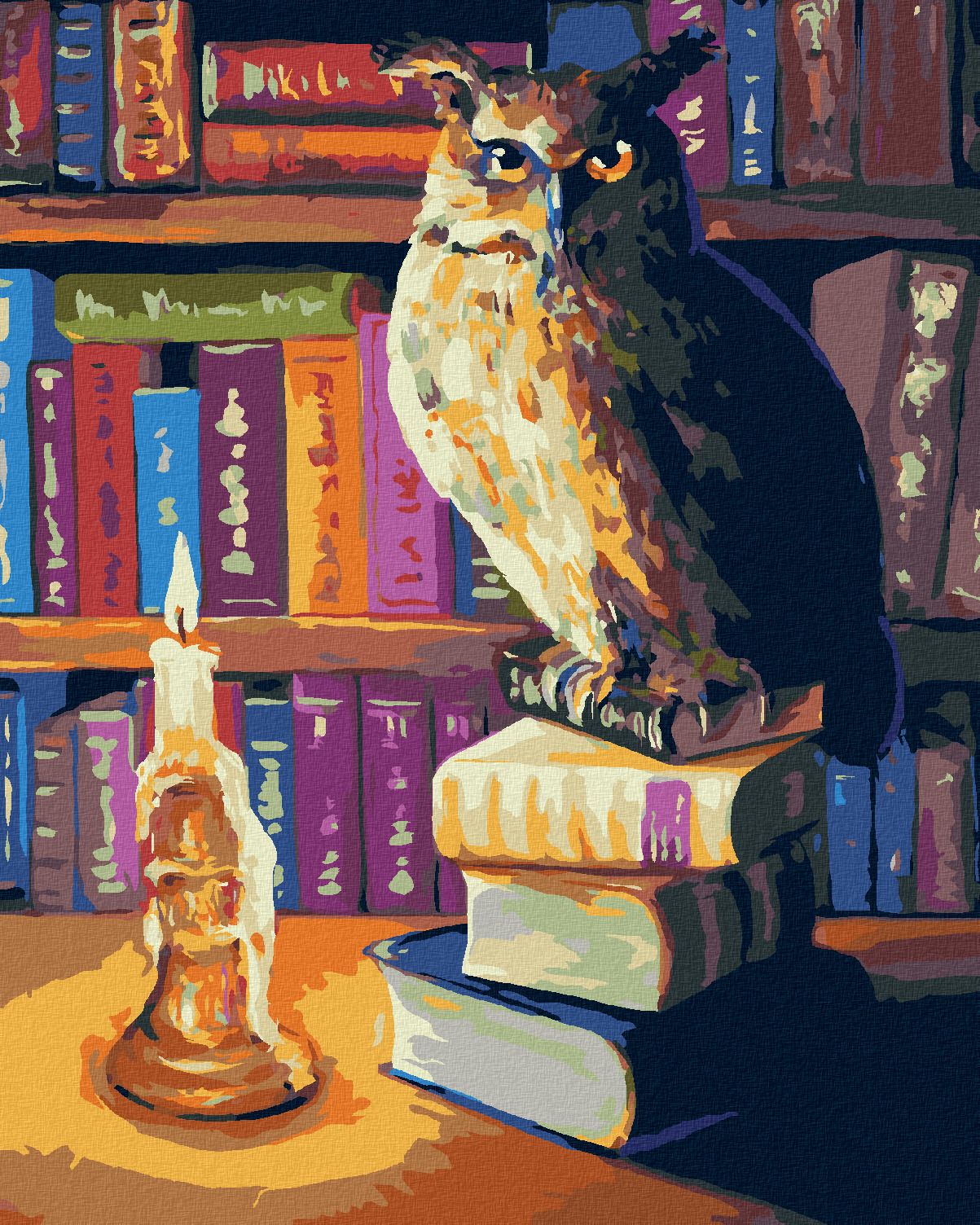 zuty Malování podle čísel - SOVA S KNIHAMI - Rozměr: 40x50 cm, Rámování: Varianta: vypnuté plátno na rám - obrázek 1