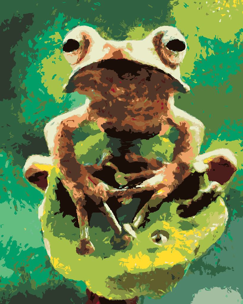 zuty Malování podle čísel - ŽÁBA V LESE - Rozměr: 40x50 cm, Rámování: Varianta: bez rámu a bez vypnutí plátna - obrázek 8