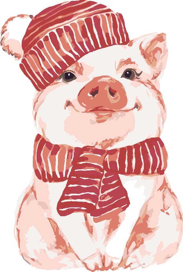 zuty Malování podle čísel - PRASE S ČERVENOU ŠÁLOU A ČEPICÍ - Rozměr: 40x50 cm, Rámování: Varianta: vypnuté plátno na rám - obrázek 4