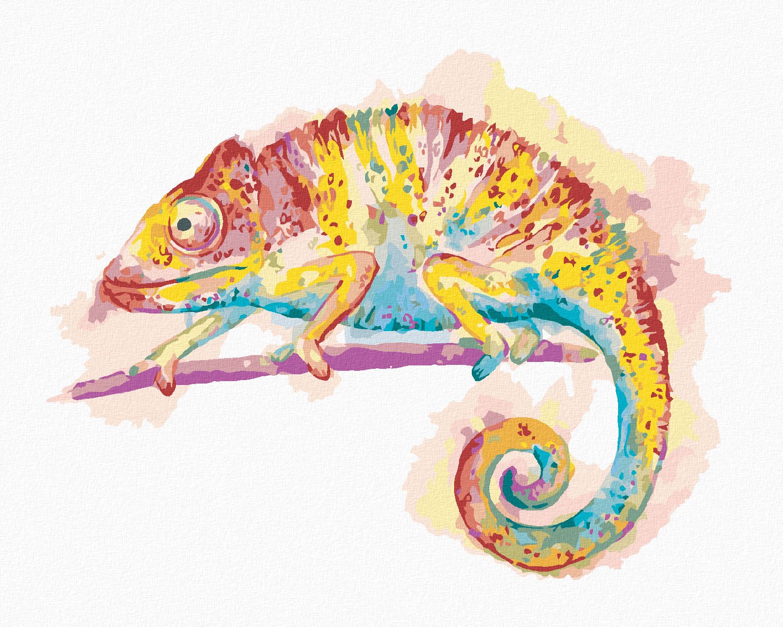 zuty Malování podle čísel - BAREVNÝ CHAMELEON NA BÍLÉM POZADÍ - Rozměr: 40x50 cm, Rámování: Varianta: vypnuté plátno na rám - obrázek 1