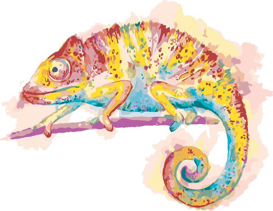 zuty Malování podle čísel - BAREVNÝ CHAMELEON NA BÍLÉM POZADÍ - Rozměr: 40x50 cm, Rámování: Varianta: vypnuté plátno na rám - obrázek 10