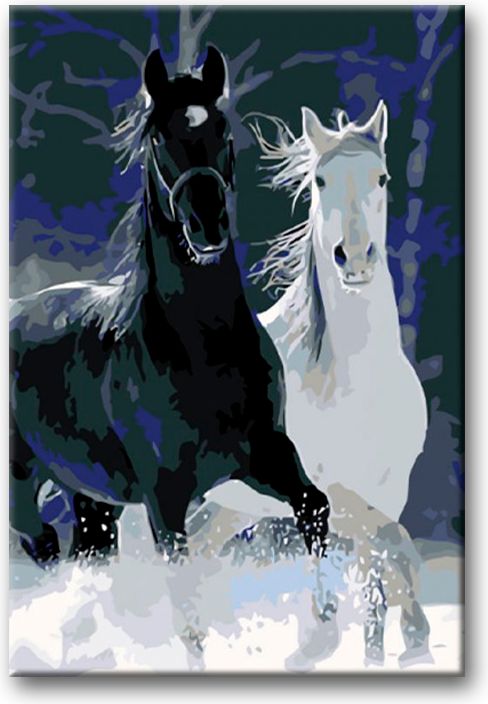 zuty Malování podle čísel - ČERNÝ A BÍLÝ KŮŇ - Rozměr: 40x50 cm, Rámování: Varianta: bez rámu a bez vypnutí plátna - obrázek 16