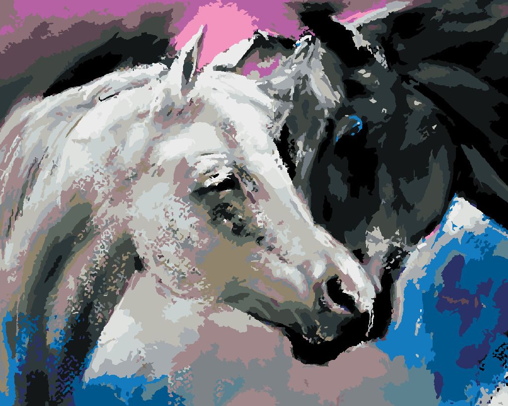 zuty Malování podle čísel - ČERNÝ A BÍLÝ KŮŇ - Rozměr: 40x50 cm, Rámování: Varianta: vypnuté plátno na rám - obrázek 19
