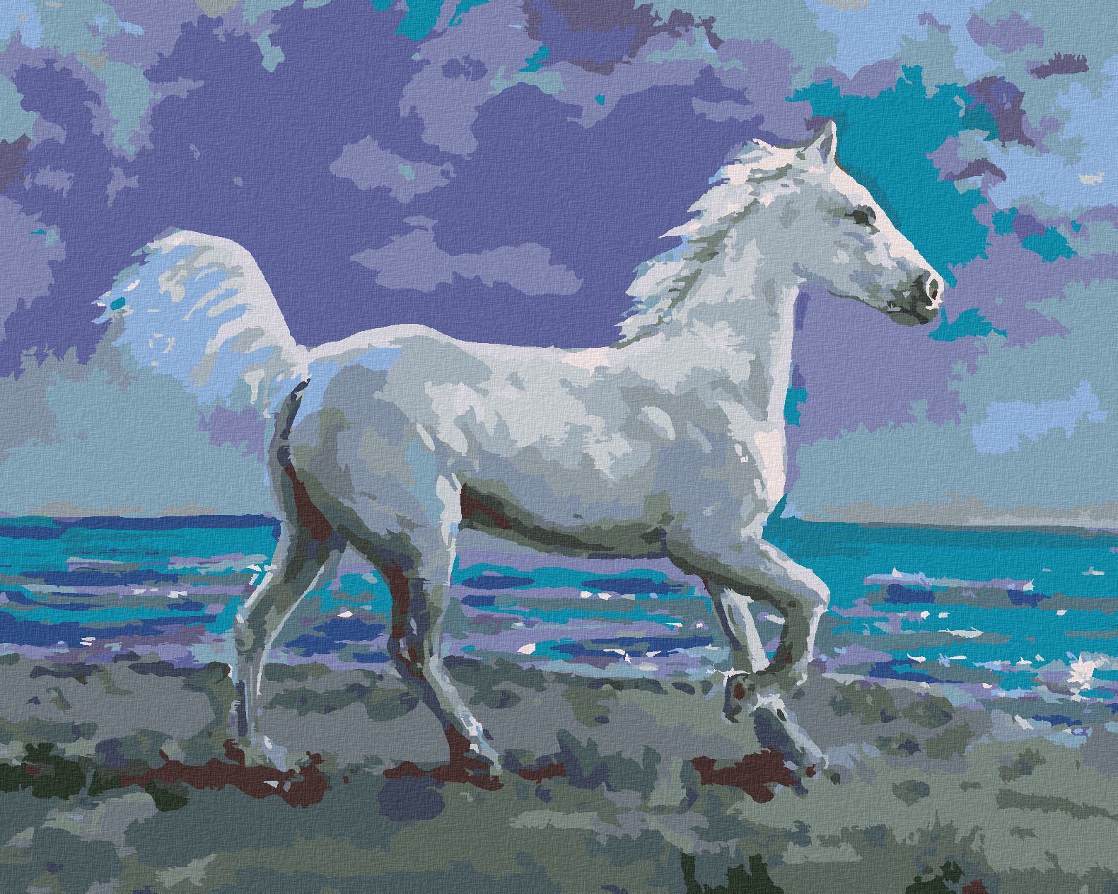 zuty Malování podle čísel - BÍLÝ KŮŇ NA BŘEHU - Rozměr: 40x50 cm, Rámování: Varianta: bez rámu a bez vypnutí plátna - obrázek 1