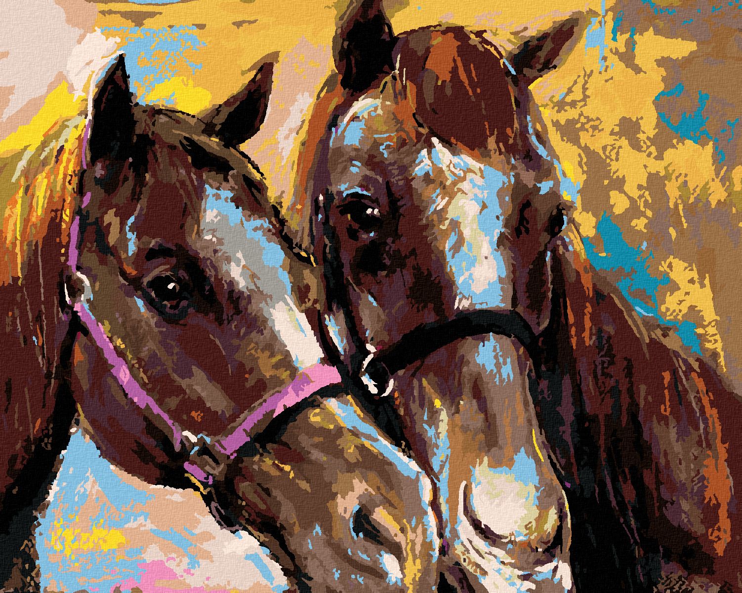 zuty Malování podle čísel - DVA HNĚDÍ KONĚ - Rozměr: 40x50 cm, Rámování: Varianta: bez rámu a bez vypnutí plátna - obrázek 1