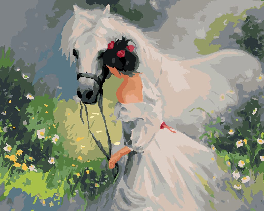 zuty Malování podle čísel - DÍVKA V BÍLÝCH ŠATECH A KŮŇ - Rozměr: 40x50 cm, Rámování: Varianta: bez rámu a bez vypnutí plátna - obrázek 6