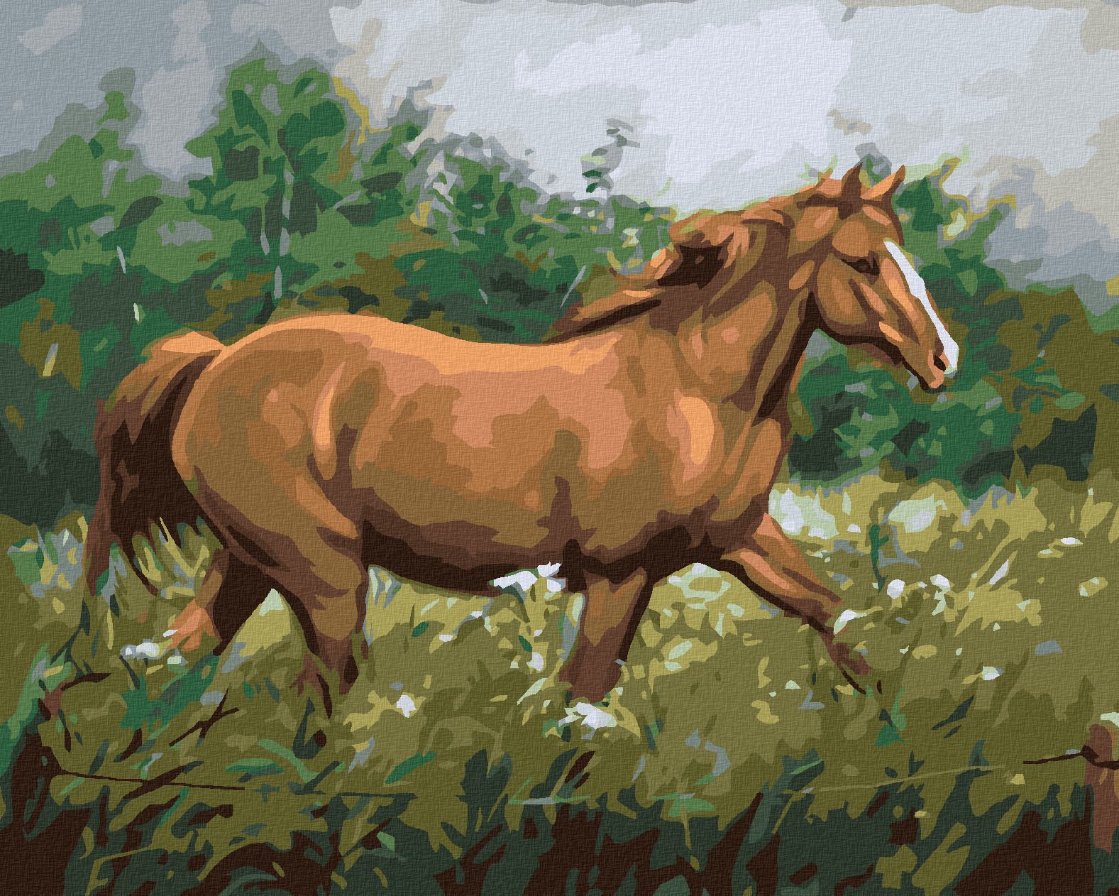 zuty Malování podle čísel - HNĚDÝ KŮŇ NA PASTVĚ U LESA - Rozměr: 40x50 cm, Rámování: Varianta: vypnuté plátno na rám - obrázek 1
