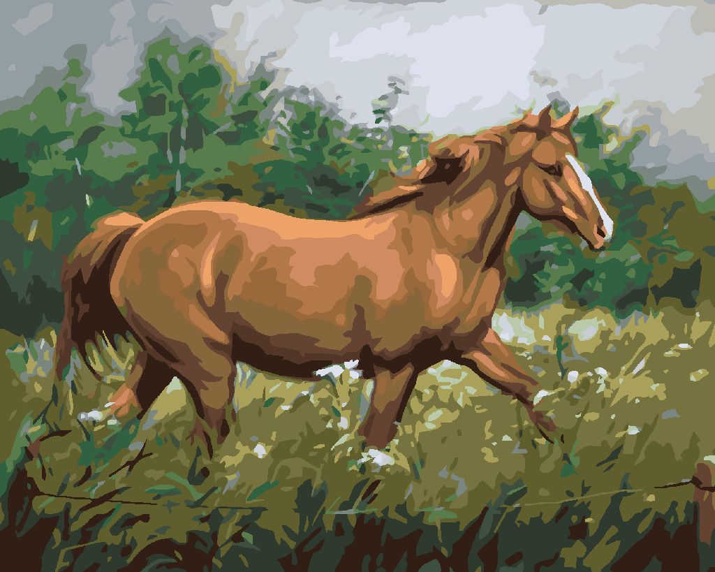 zuty Malování podle čísel - HNĚDÝ KŮŇ NA PASTVĚ U LESA - Rozměr: 40x50 cm, Rámování: Varianta: vypnuté plátno na rám - obrázek 2