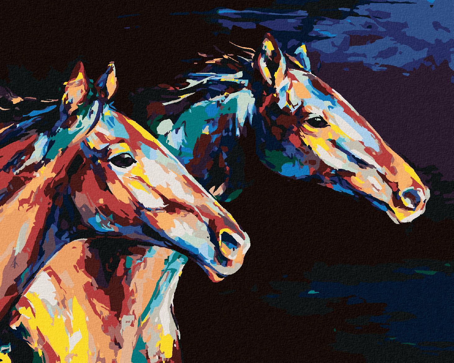 zuty Malování podle čísel - DVA BAREVNÍ KONĚ V BĚHU - Rozměr: 40x50 cm, Rámování: Varianta: vypnuté plátno na rám - obrázek 1