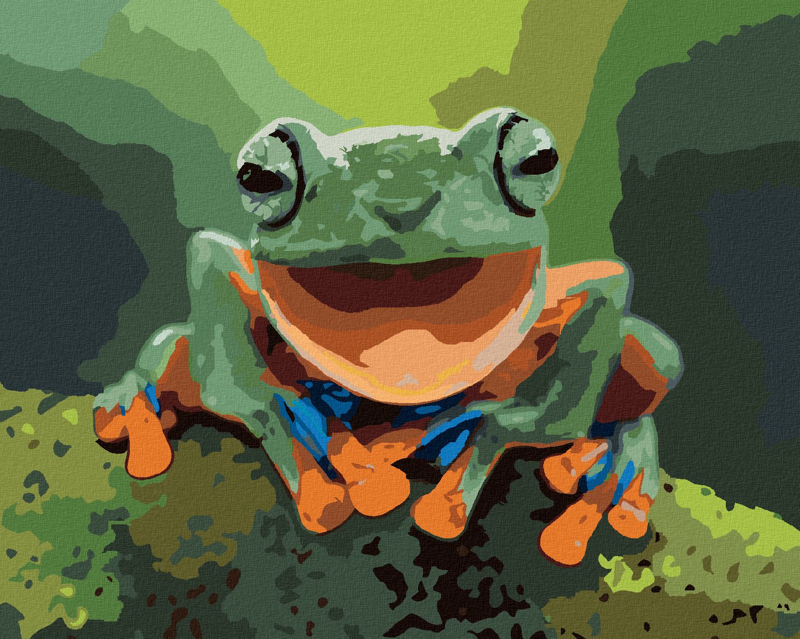zuty Malování podle čísel - SMĚJÍCÍ SE ŽÁBA - Rozměr: 40x50 cm, Rámování: Varianta: vypnuté plátno na rám - obrázek 1