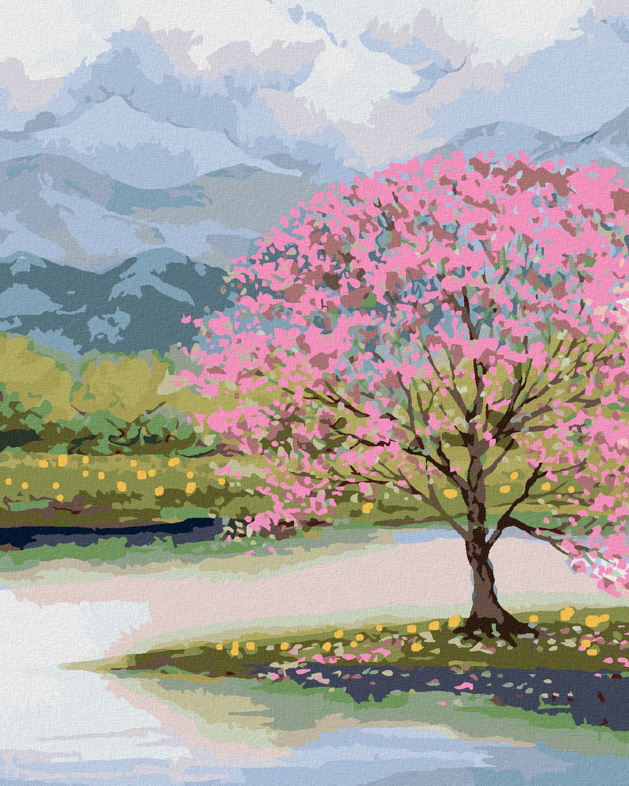 zuty Malování podle čísel - ROZKVETLÁ SAKURA U VODY - Rozměr: 40x50 cm, Rámování: Varianta: vypnuté plátno na rám - obrázek 1