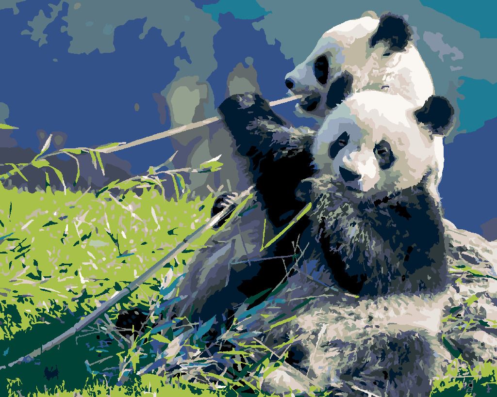 zuty Malování podle čísel - PANDA A BAMBUS - Rozměr: 40x50 cm, Rámování: Varianta: vypnuté plátno na rám - obrázek 5