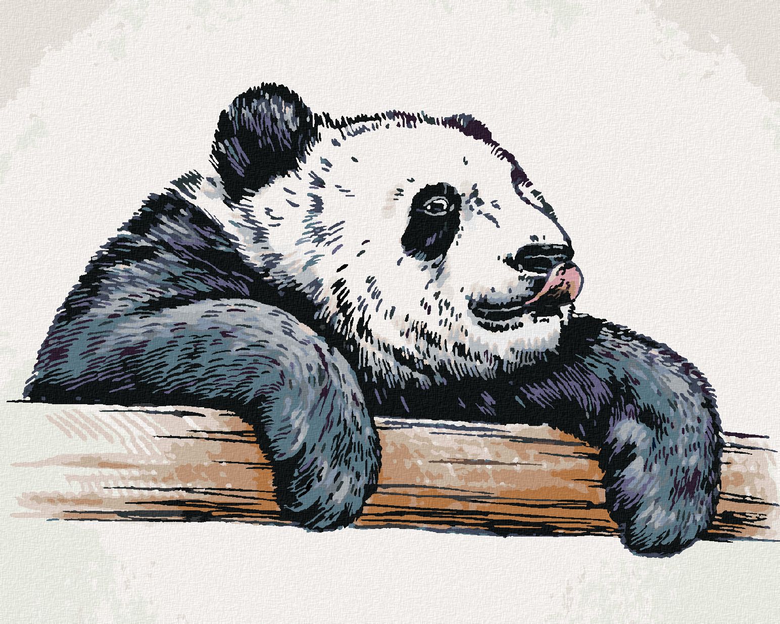 zuty Malování podle čísel - OLIZUJÍCÍ SE PANDA - Rozměr: 40x50 cm, Rámování: Varianta: vypnuté plátno na rám - obrázek 1