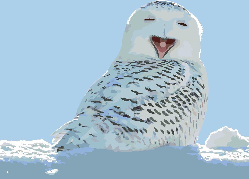 zuty Malování podle čísel - ZÍVAJÍCÍ BÍLÁ SOVA - Rozměr: 40x50 cm, Rámování: Varianta: bez rámu a bez vypnutí plátna - obrázek 9