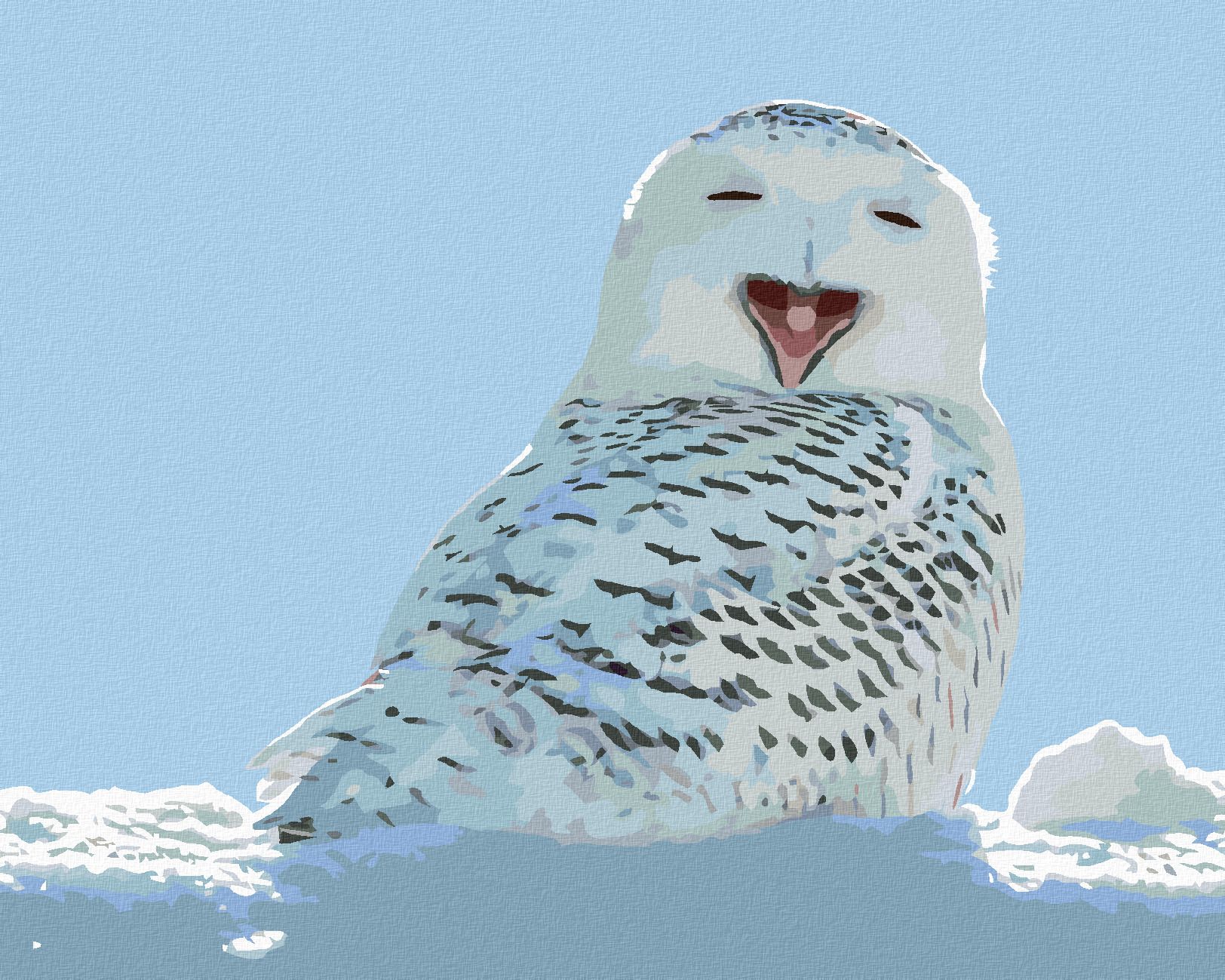 zuty Malování podle čísel - ZÍVAJÍCÍ BÍLÁ SOVA - Rozměr: 40x50 cm, Rámování: Varianta: vypnuté plátno na rám - obrázek 1