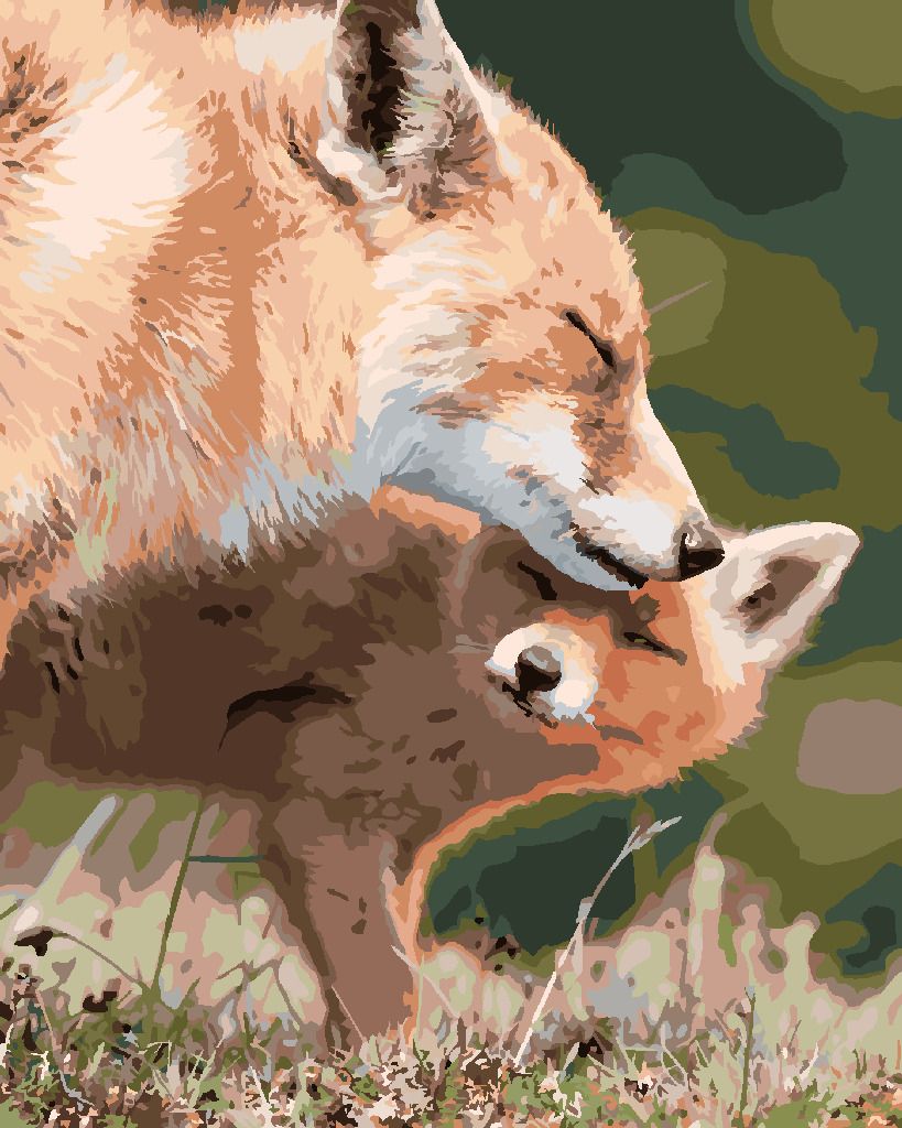 zuty Malování podle čísel - LIŠKA A MLÁDĚ - Rozměr: 40x50 cm, Rámování: Varianta: vypnuté plátno na rám - obrázek 10