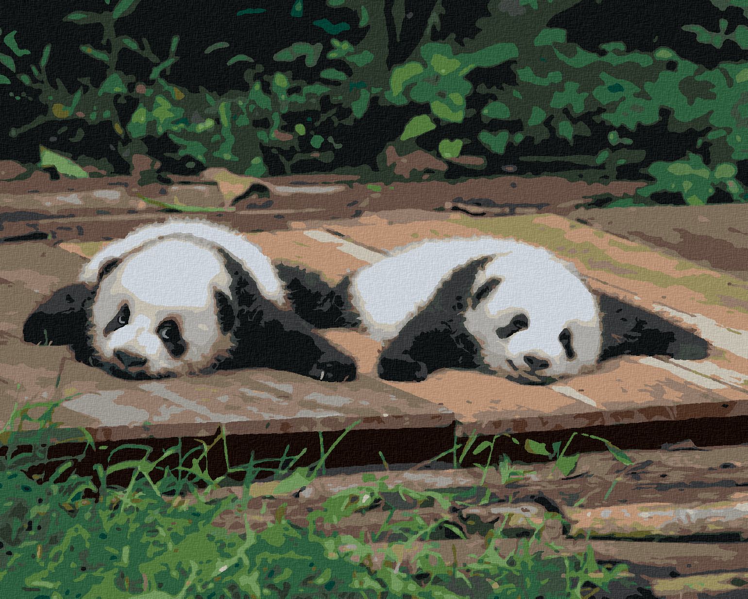 zuty Malování podle čísel - PANDA LEŽÍCÍ NA DŘEVĚ - Rozměr: 40x50 cm, Rámování: Varianta: bez rámu a bez vypnutí plátna - obrázek 1