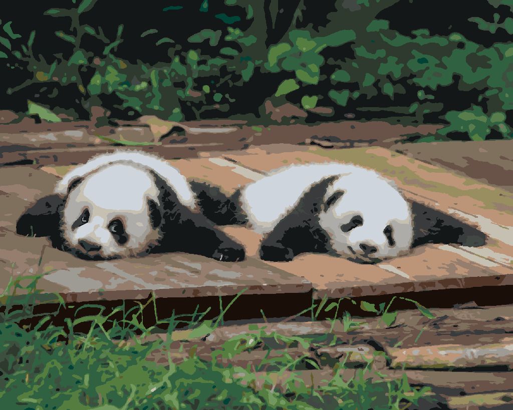 zuty Malování podle čísel - PANDA LEŽÍCÍ NA DŘEVĚ - Rozměr: 40x50 cm, Rámování: Varianta: bez rámu a bez vypnutí plátna - obrázek 5