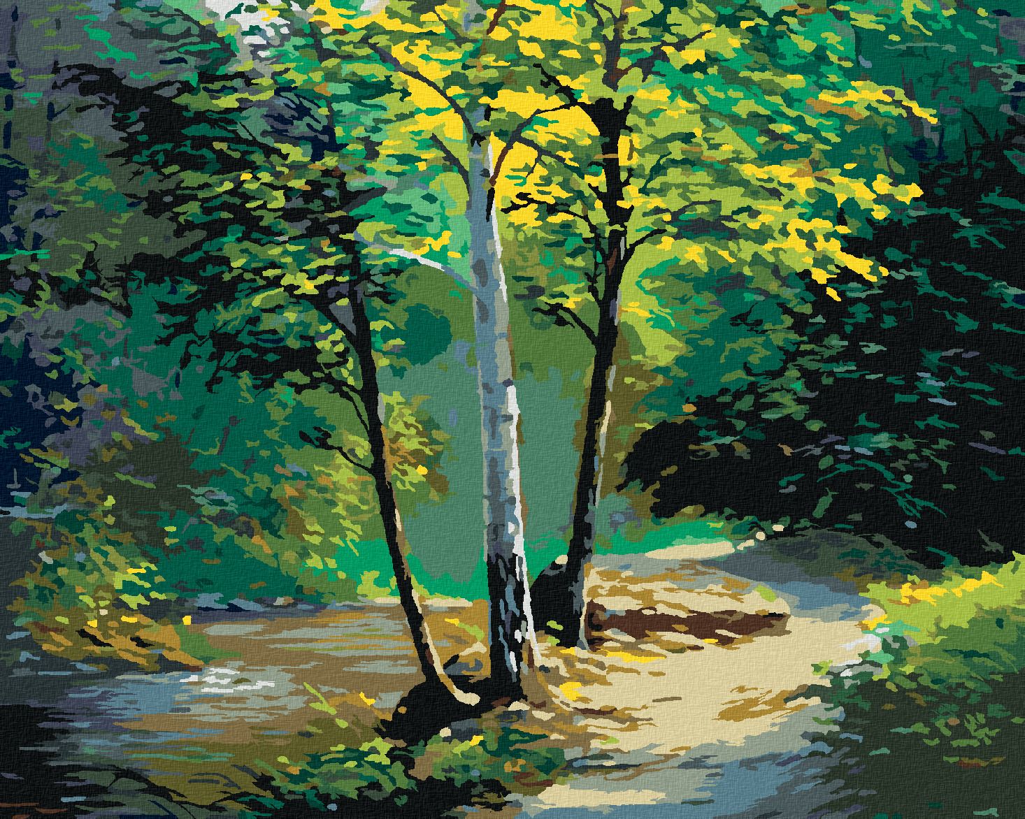 zuty Malování podle čísel - NÁDHERNÁ BŘÍZA A POTŮČEK - Rozměr: 40x50 cm, Rámování: Varianta: vypnuté plátno na rám - obrázek 1