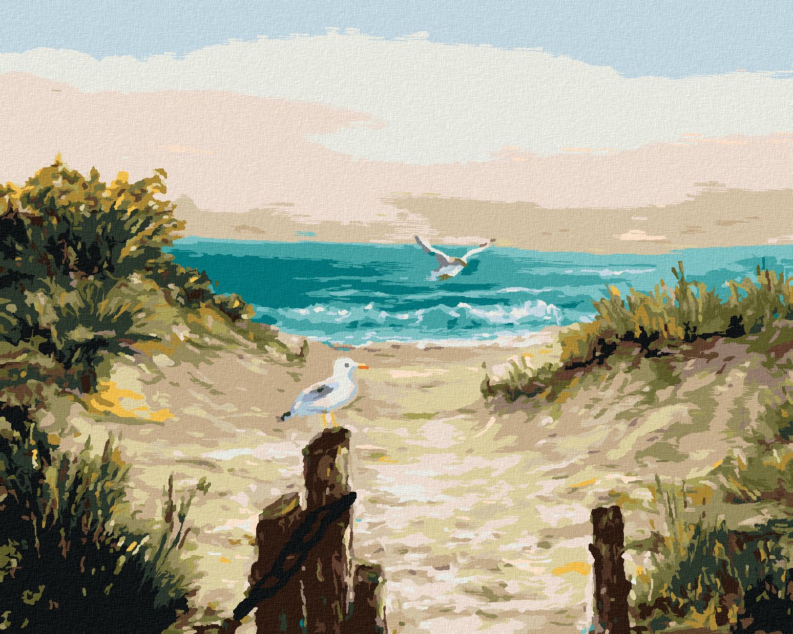 zuty Malování podle čísel - PLÁŽOVÉ DUNY S RACKY - Rozměr: 40x50 cm, Rámování: Varianta: vypnuté plátno na rám - obrázek 1
