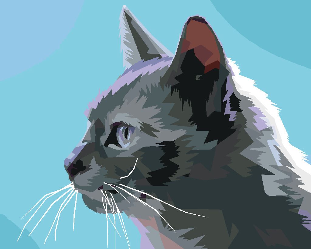 zuty Malování podle čísel - ŠEDÁ KOČKA Z BOKU - Rozměr: 40x50 cm, Rámování: Varianta: bez rámu a bez vypnutí plátna - obrázek 2