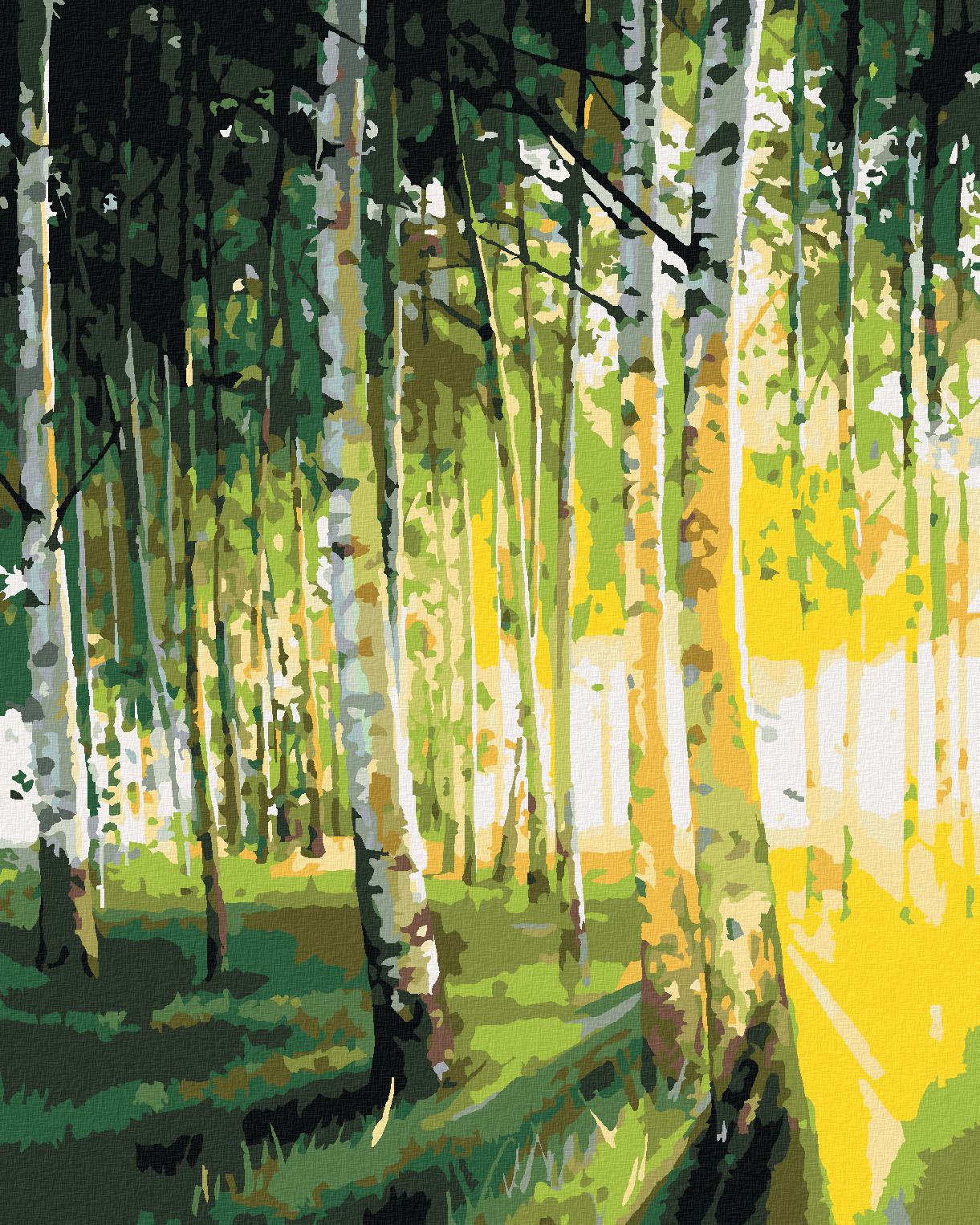 zuty Malování podle čísel - BŘÍZY V PROSVĚTLENÉM LESE - Rozměr: 40x50 cm, Rámování: Varianta: bez rámu a bez vypnutí plátna - obrázek 1