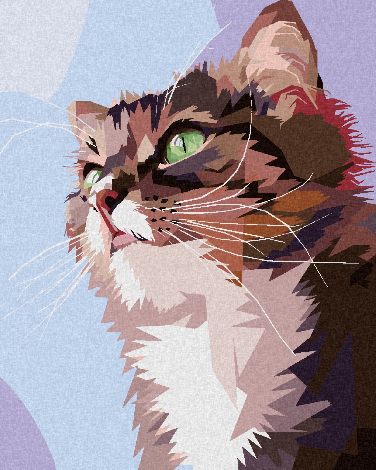 zuty Malování podle čísel - ZVĚDAVÁ KOČKA PORTRÉT - Rozměr: 40x50 cm, Rámování: Varianta: vypnuté plátno na rám - obrázek 1