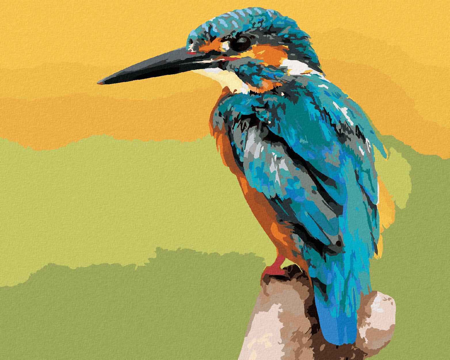 zuty Malování podle čísel - PTÁK LEDŇÁČEK - Rozměr: 40x50 cm, Rámování: Varianta: vypnuté plátno na rám - obrázek 1