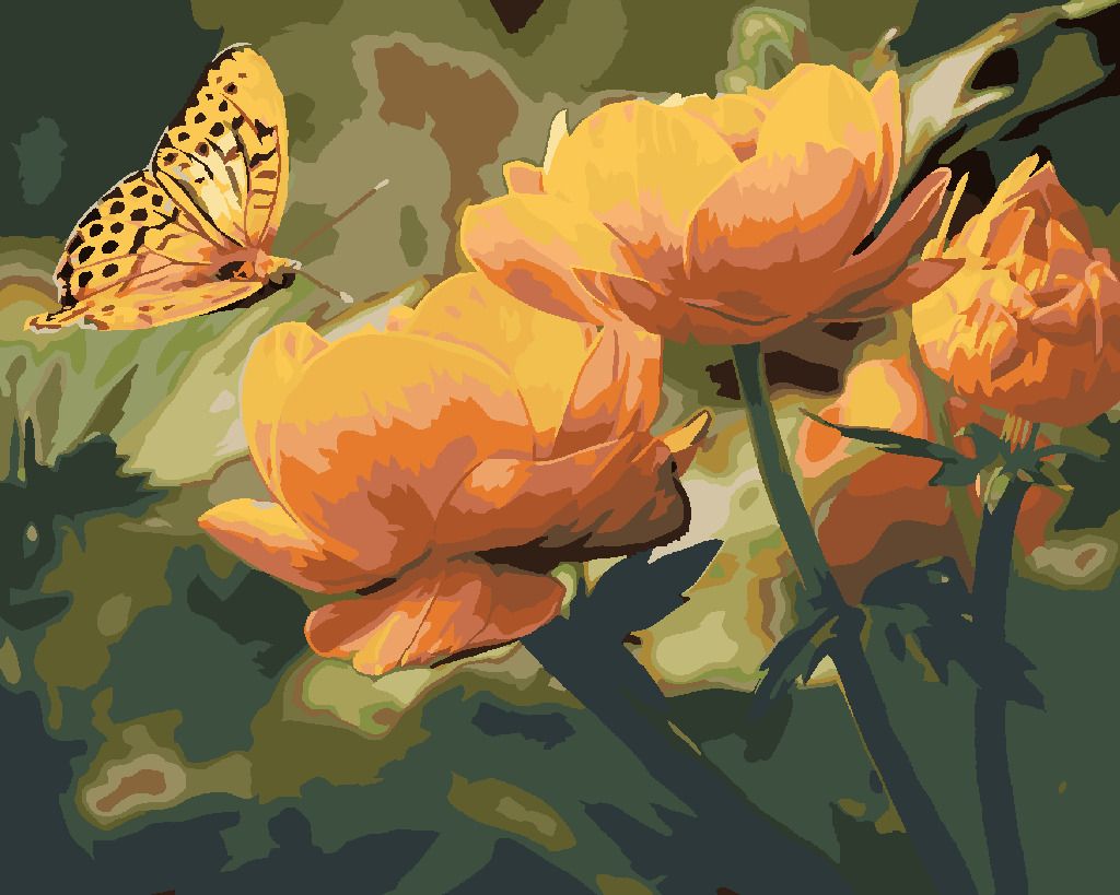 zuty Malování podle čísel - MOTÝL A ORANŽOVĚ KVĚTINY - Rozměr: 40x50 cm, Rámování: Varianta: bez rámu a bez vypnutí plátna - obrázek 4