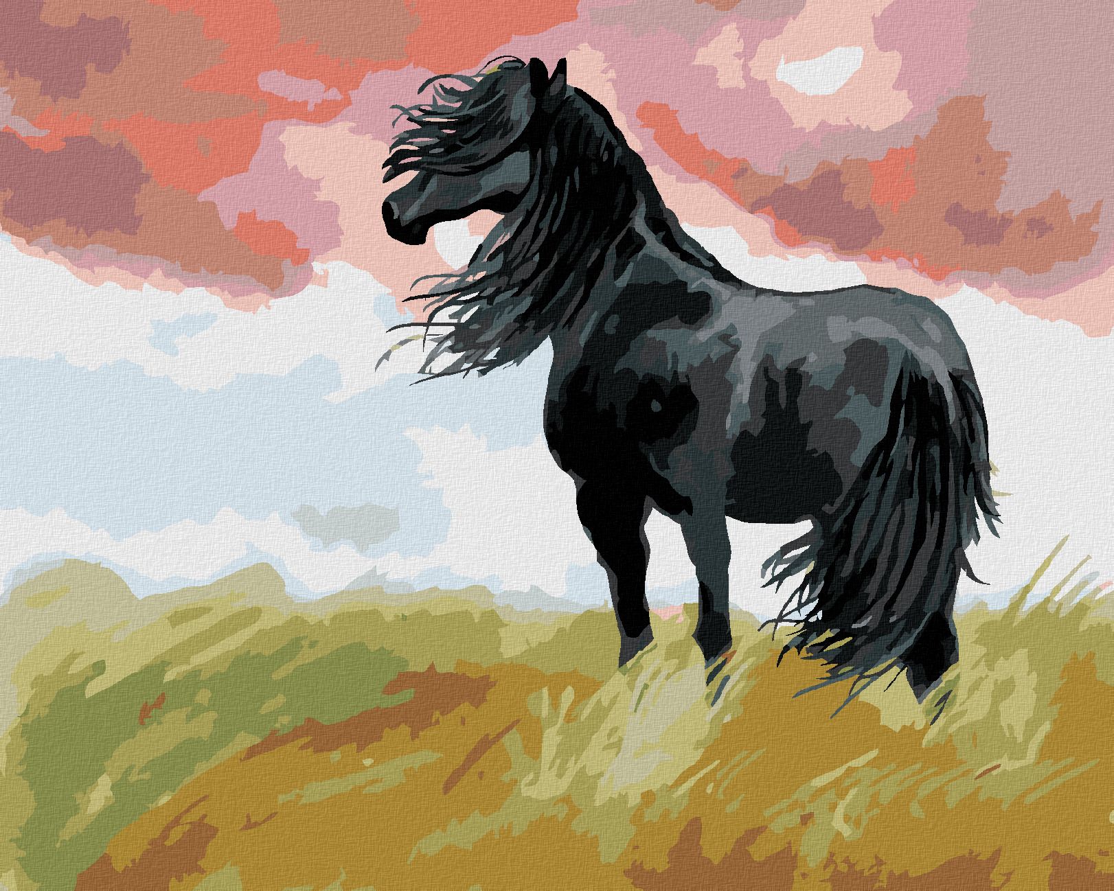 zuty Malování podle čísel - ČERNÝ KŮŇ NA LOUCE - Rozměr: 40x50 cm, Rámování: Varianta: bez rámu a bez vypnutí plátna - obrázek 1