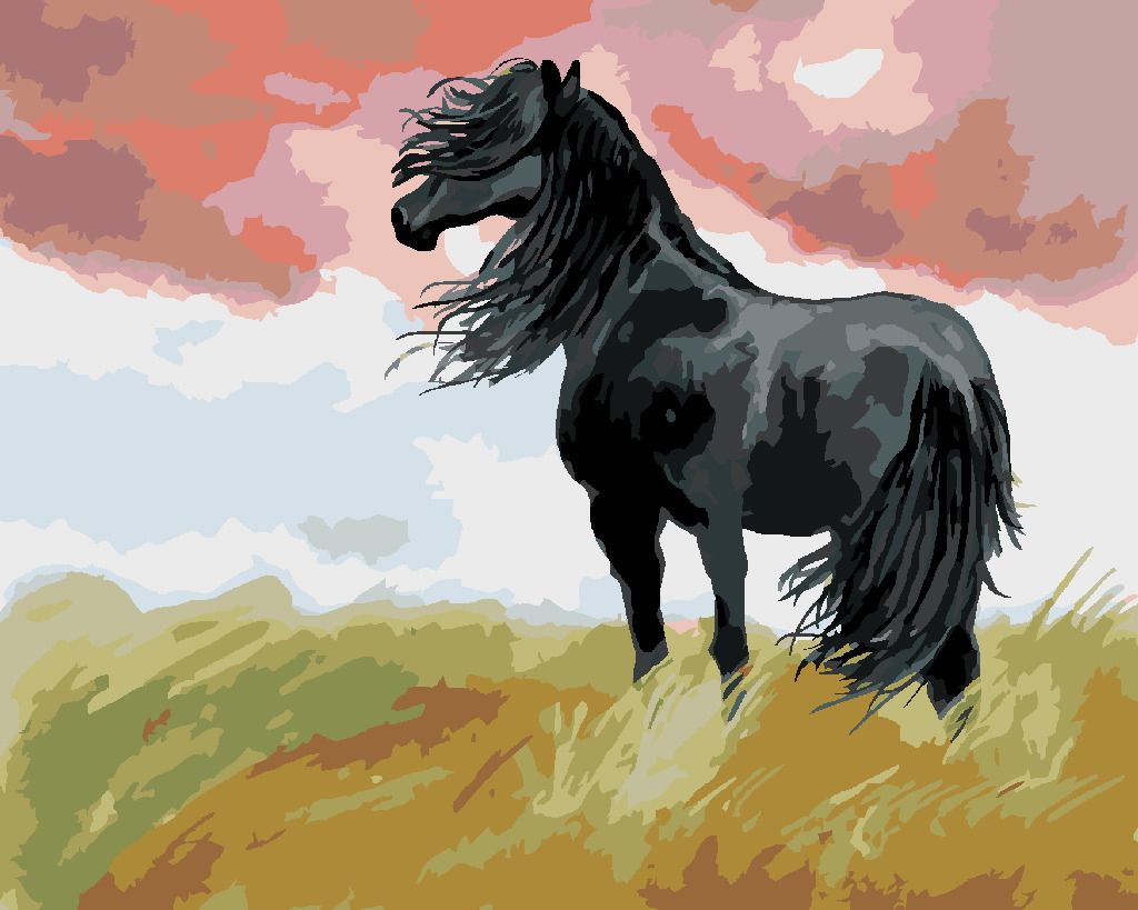 zuty Malování podle čísel - ČERNÝ KŮŇ NA LOUCE - Rozměr: 40x50 cm, Rámování: Varianta: vypnuté plátno na rám - obrázek 6