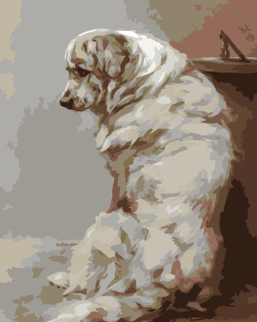 zuty Malování podle čísel - VELKÝ BÍLÝ PES - Rozměr: 40x50 cm, Rámování: Varianta: vypnuté plátno na rám - obrázek 9