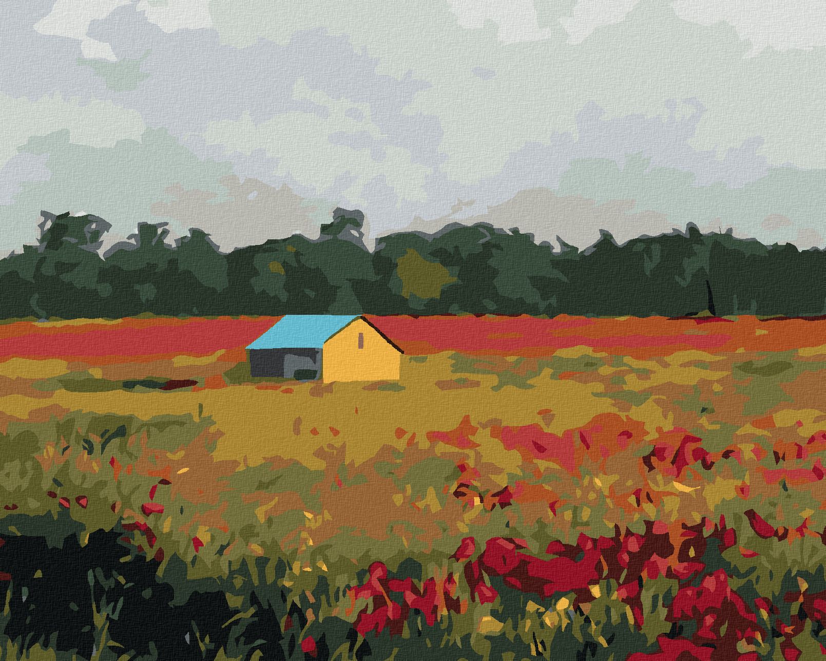 zuty Malování podle čísel - DOMEK A VLČÍ MÁKY - Rozměr: 40x50 cm, Rámování: Varianta: vypnuté plátno na rám - obrázek 1
