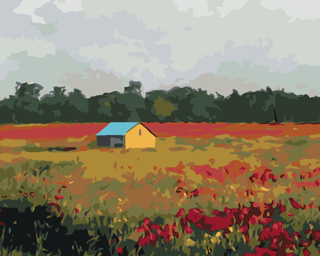 zuty Malování podle čísel - DOMEK A VLČÍ MÁKY - Rozměr: 40x50 cm, Rámování: Varianta: vypnuté plátno na rám - obrázek 9