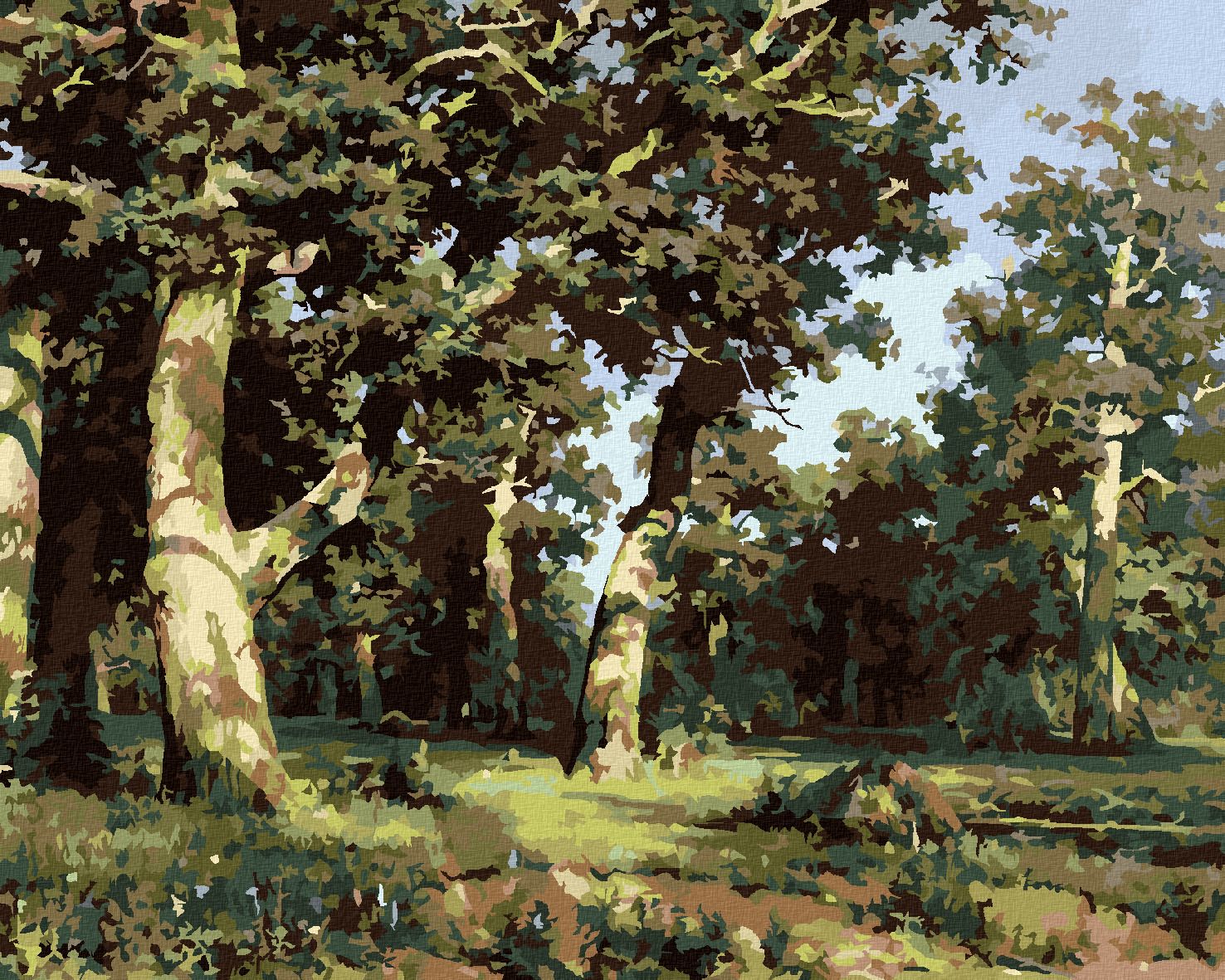 zuty Malování podle čísel - DUBOVÝ HÁJ (IVAN SHISHKIN) - Rozměr: 40x50 cm, Rámování: Varianta: bez rámu a bez vypnutí plátna - obrázek 1