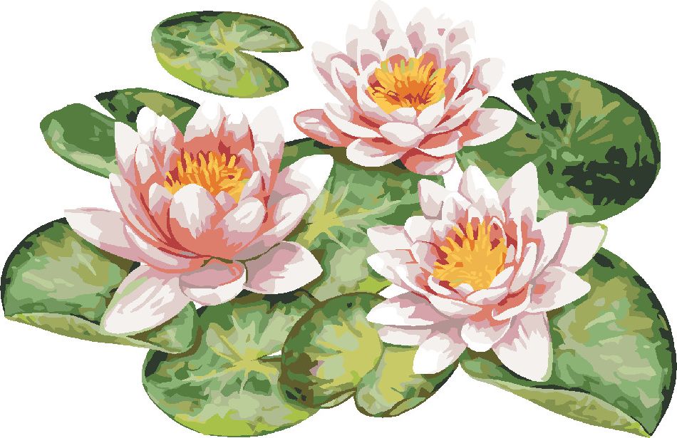 zuty Malování podle čísel - Lekníny V ZAHRADNÍM JEZÍRKU - Rozměr: 40x50 cm, Rámování: Varianta: vypnuté plátno na rám - obrázek 9
