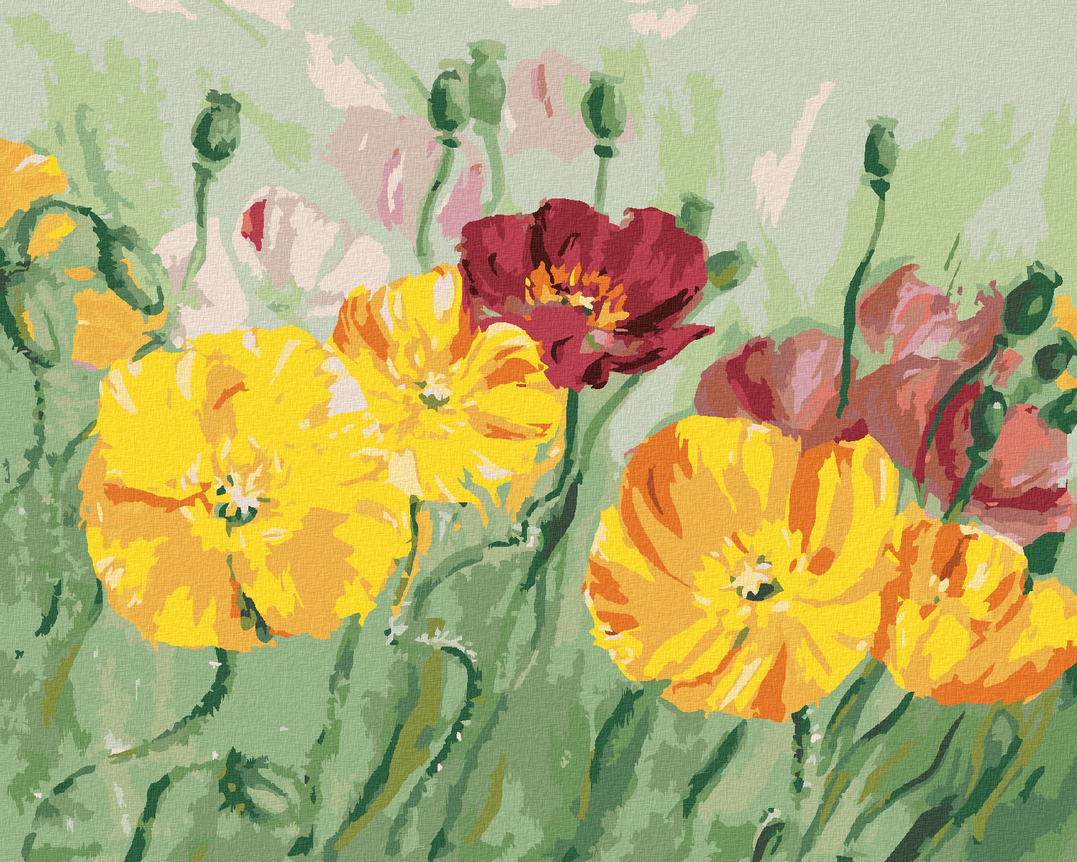 zuty Malování podle čísel - BAREVNÝ VLČÍ MÁK - Rozměr: 40x50 cm, Rámování: Varianta: bez rámu a bez vypnutí plátna - obrázek 1