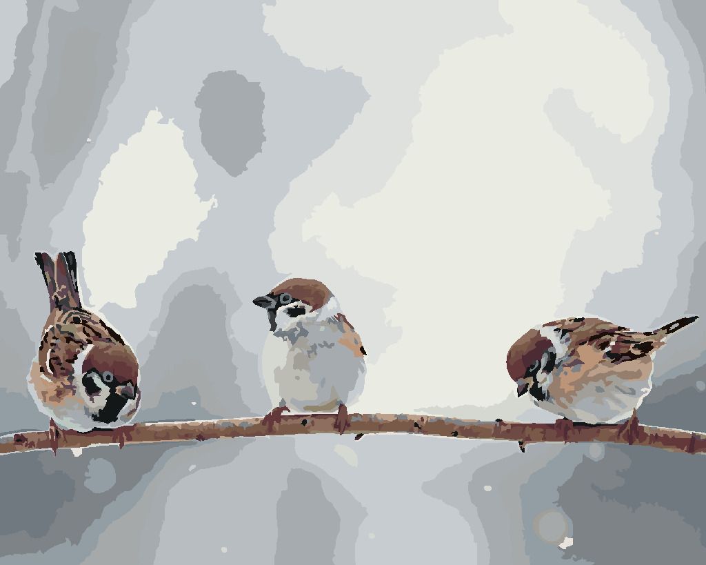 zuty Malování podle čísel - MALÍ PTÁČCI NA VĚTVI - Rozměr: 40x50 cm, Rámování: Varianta: vypnuté plátno na rám - obrázek 10