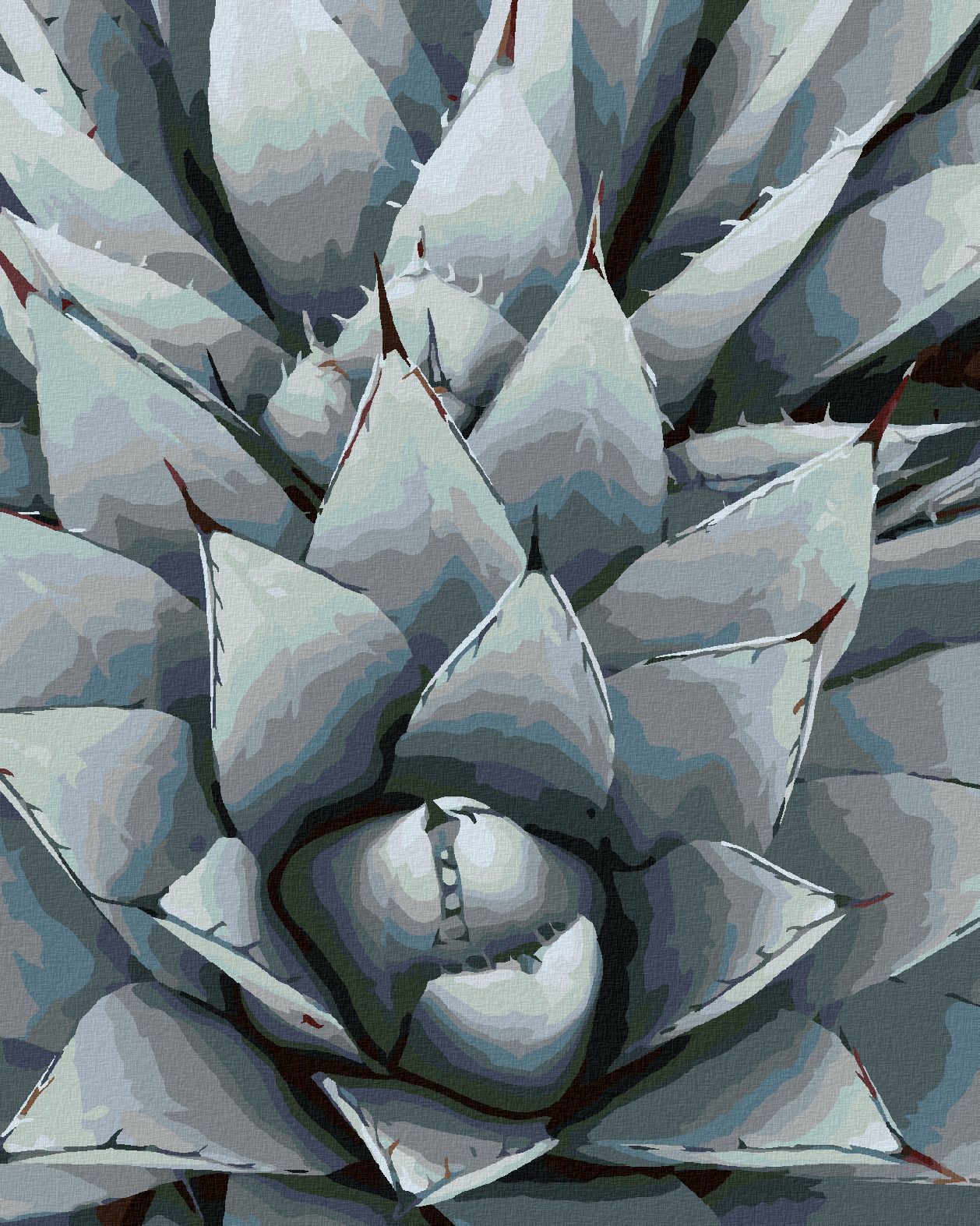 zuty Malování podle čísel - KAKTUS AGAVE - Rozměr: 40x50 cm, Rámování: Varianta: vypnuté plátno na rám - obrázek 1