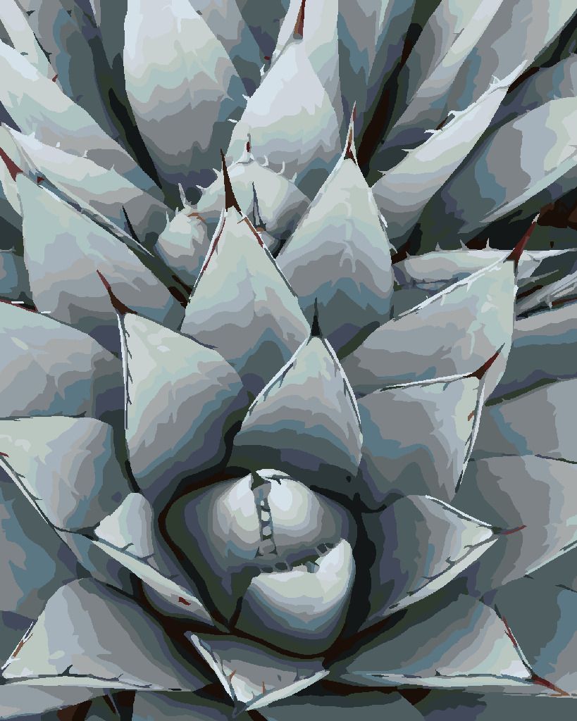 zuty Malování podle čísel - KAKTUS AGAVE - Rozměr: 40x50 cm, Rámování: Varianta: vypnuté plátno na rám - obrázek 4